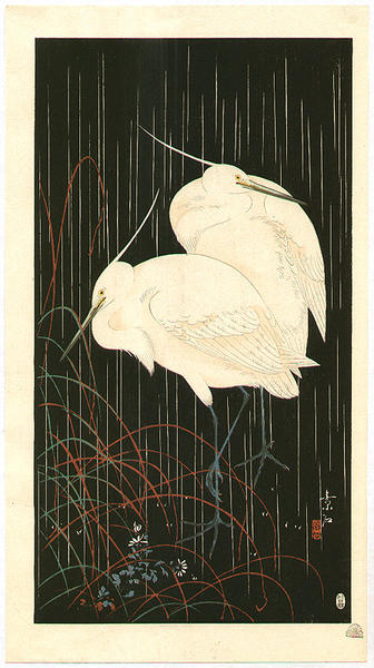 Herons in Rainy Night
