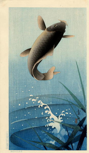 Leaping Carp