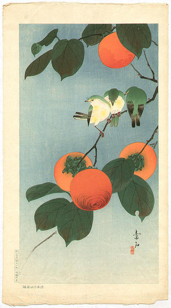 White-eyes and persimmon