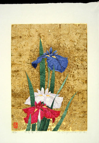 Iris No 105
