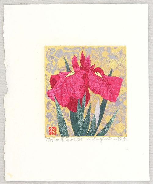 Iris No 127