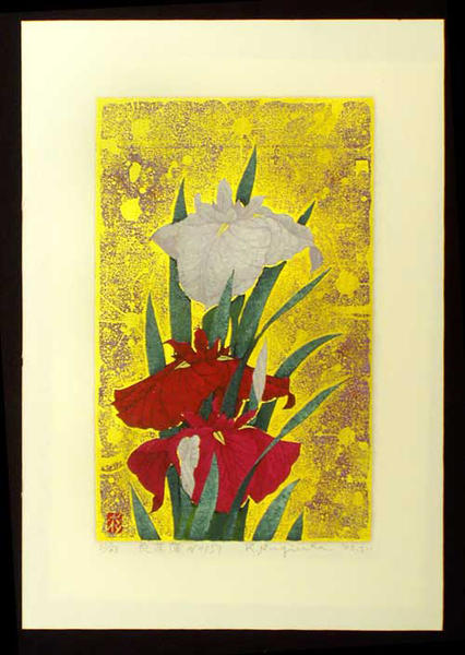 Iris No 151