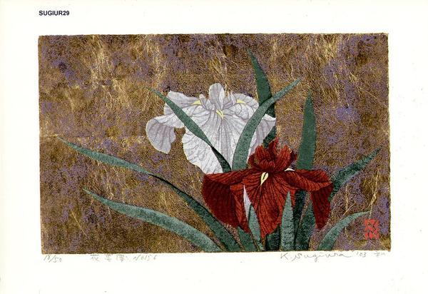 Iris No 156