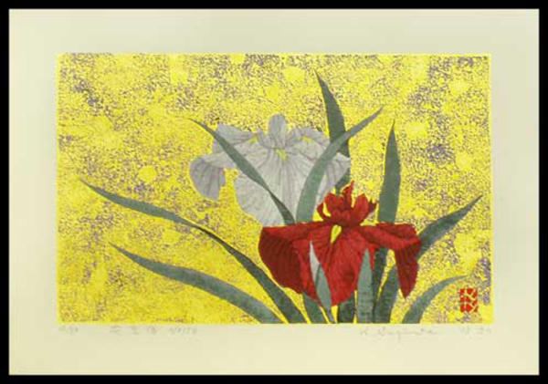 Iris No 156