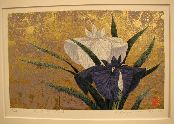 Iris No 158