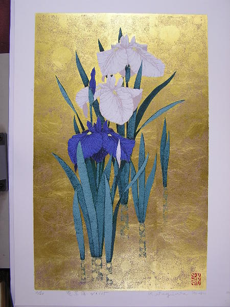 Iris No 165