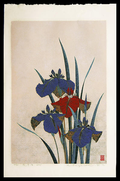 Iris No 41