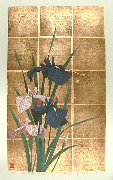 Iris No 44