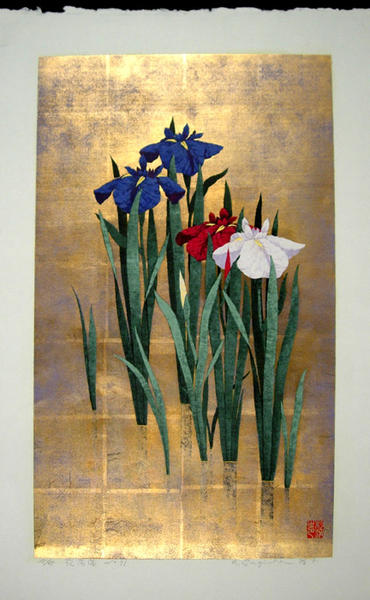 Iris No 71