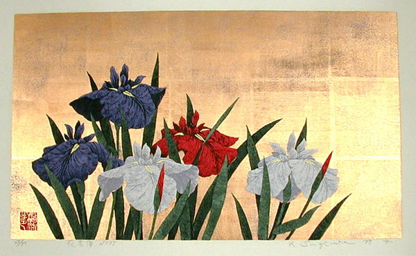 Iris No 75