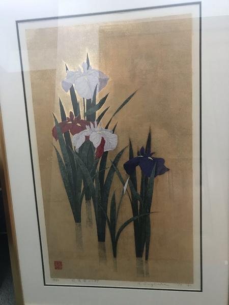Iris No 87