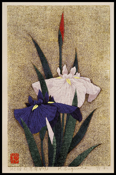 Iris No 93