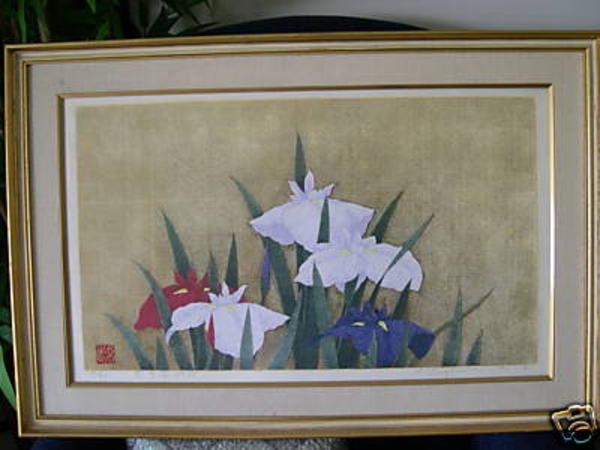 Iris No 95