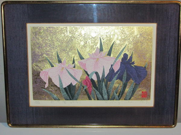 Iris No 142