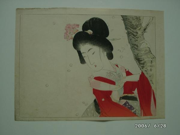 Cherry Blossom Viewing