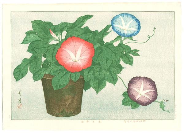 Morning Glories