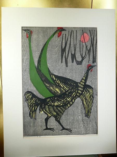 Game fowl- Shamo