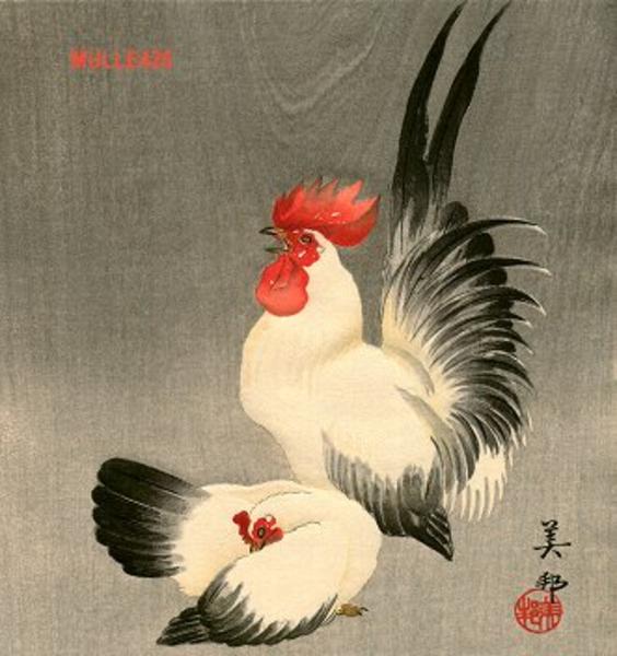 Rooster and hen
