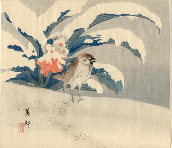 Unknown bird in snow