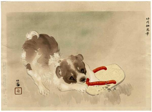 Dog