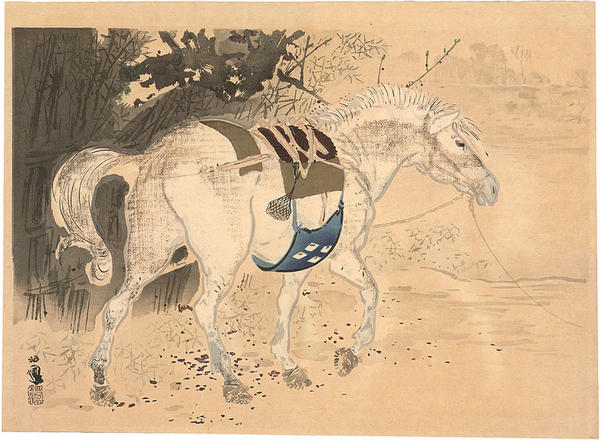 Horse
