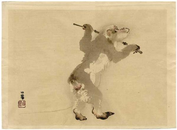 Monkey