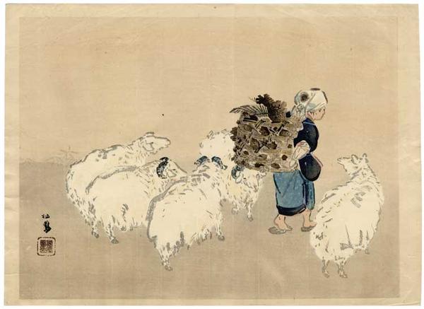 Sheep