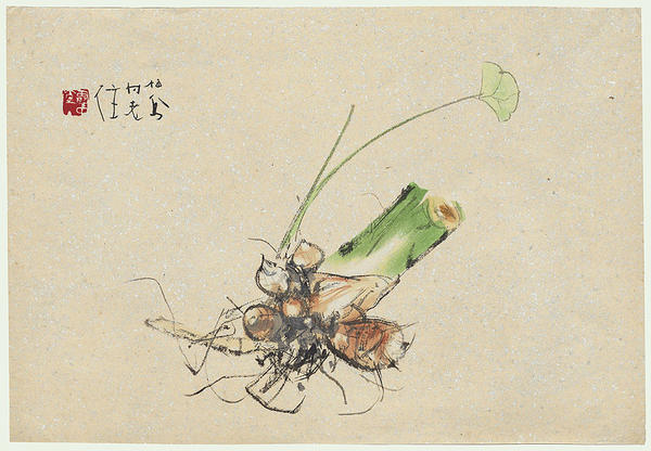 Bulbs and Foliage