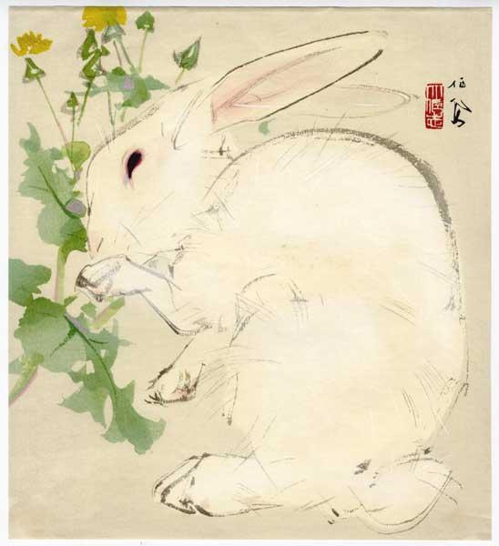 Rabbit eating