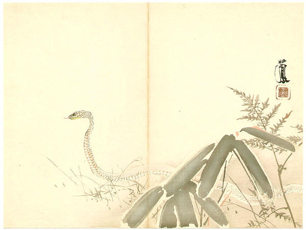 Snake