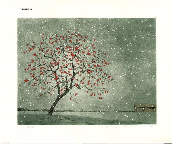 Persimmon in Snow