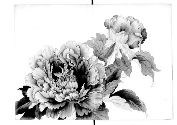 Flower Giant