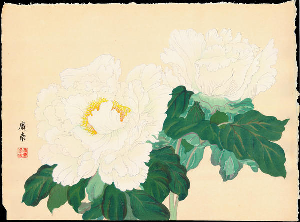 Hermit Wren Peony