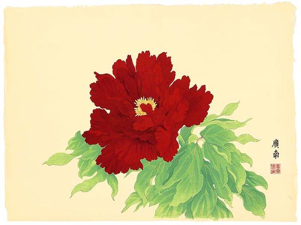 Chiyo Brocade Peony