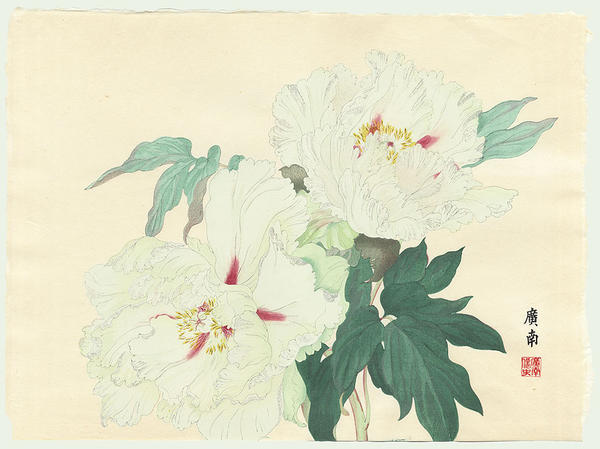 Fawn Wool Brocade Peony (Senryo Peony)