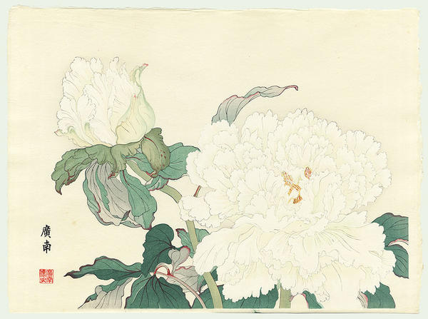 Moon Peony