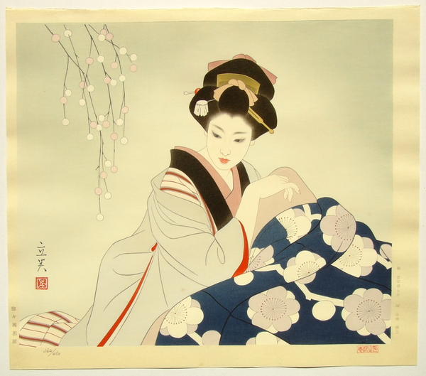 Kotatsu- Japanese warmer