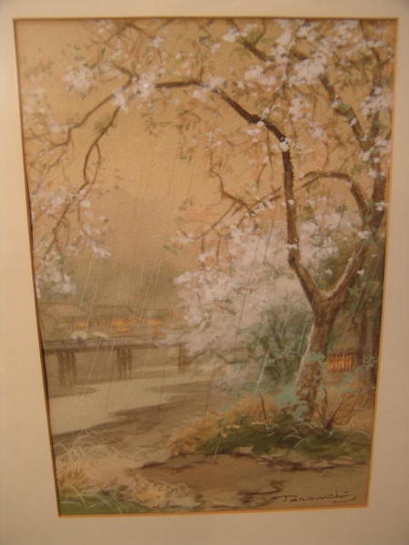 Bridge and Cherry trees on spring rainy day
