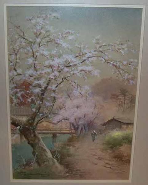 Cherry trees by river with bridge in rain