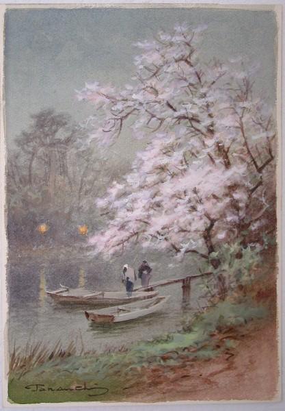 Chetty trees beside river and boat