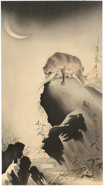 Fox on a cliff under a crescent moon