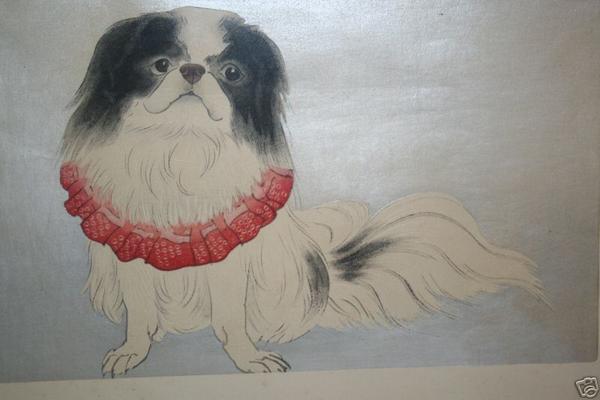 Pekinese
