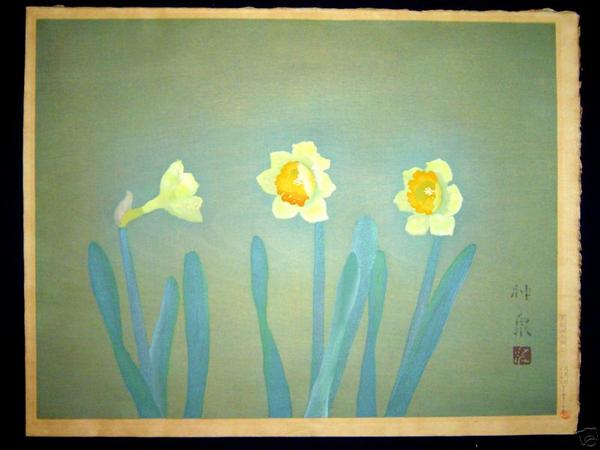 Water Lily
