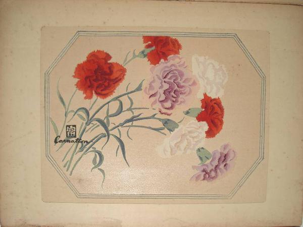 Carnation