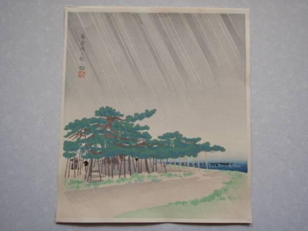 Pine Trees at Shin-Karasaki