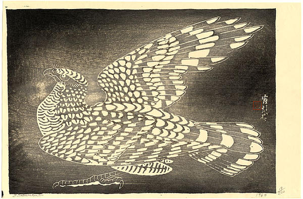 Hawk
