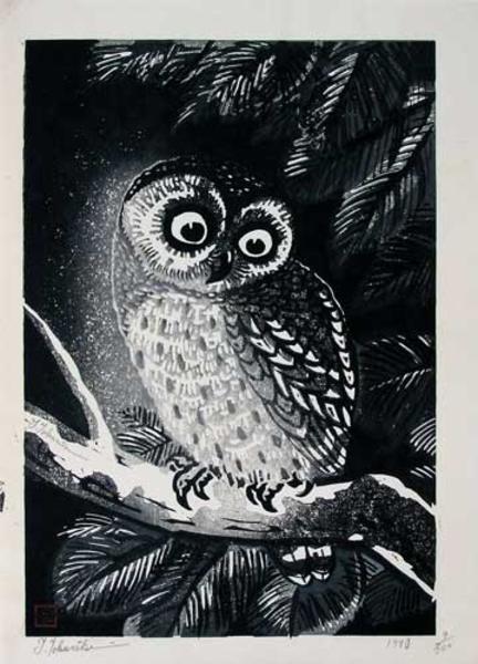 Owl