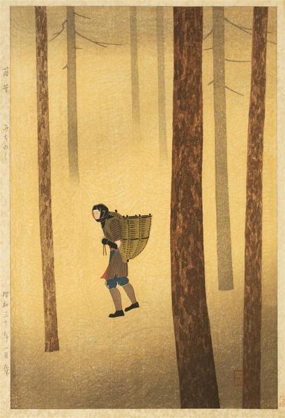 Walking in Fallen Leaves