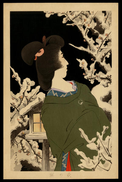 Plum Blossoms at Night (black background)