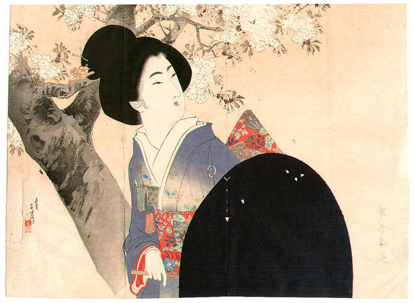 Cherry Blossoms and Umbrella